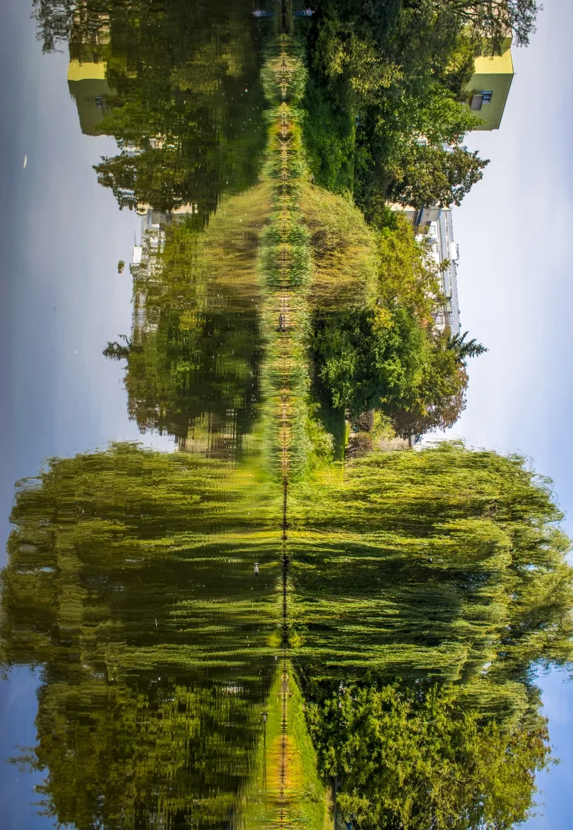 Symmetrical reflection of trees and houses in still water